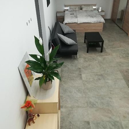 Place Near Casino Mond - Apartma Urska Sentilj Extérieur photo